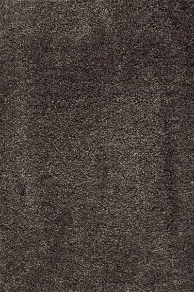 Ковровое покрытие AW Fedone 44 - (5м) в Йошкар-Оле