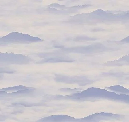 Обои Loymina Clair CLR4, 006 в Йошкар-Оле