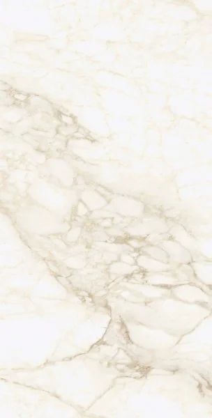 Керамогранит Coliseum Микеланджело Ворм 60х120 (Натуральный и Реттифицированный) в Йошкар-Оле