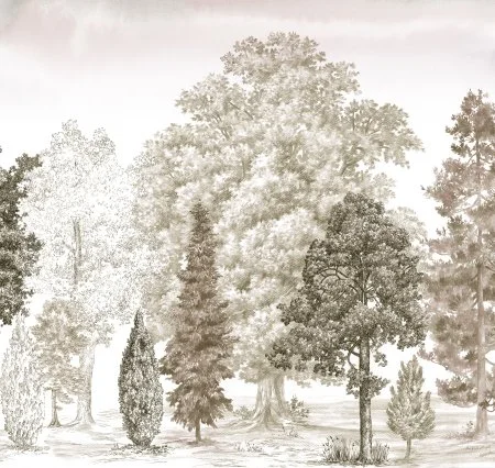 Обои Loymina Пейзаж vol. 2 ART14 012 в Йошкар-Оле