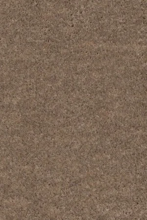 Ковровое покрытие AW Euphoria 36 - (4м) в Йошкар-Оле