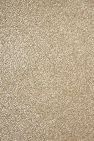 Ковровое покрытие AW Euphoria 33 - (4м) в Йошкар-Оле