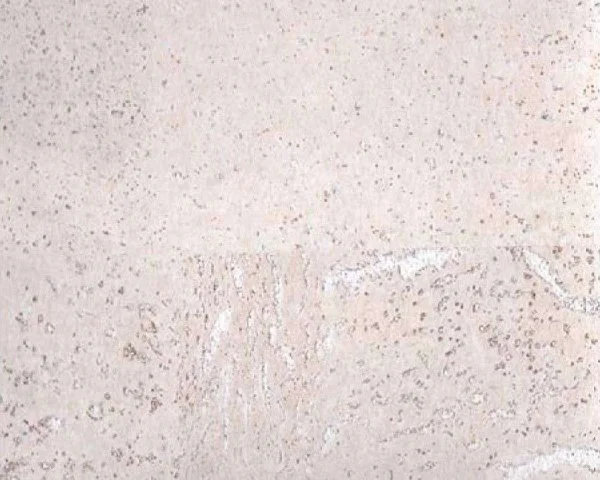 Настенное пробковое покрытие CorkArt PW 386 WS в Йошкар-Оле