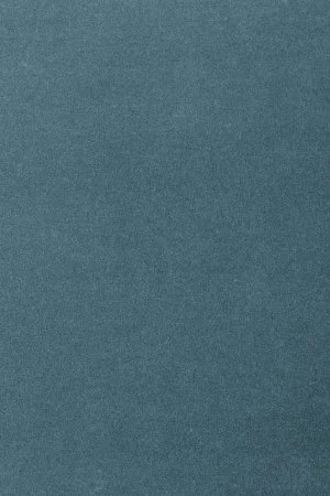 Ковровое покрытие AW Oinone 74 - (5м) в Йошкар-Оле