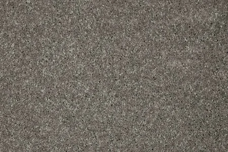 Ковровое покрытие AW Gala 94 - (5м) в Йошкар-Оле