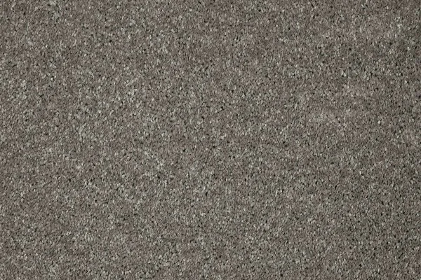 Ковровое покрытие AW Gala 94 - (5м) в Йошкар-Оле