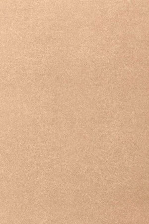 Ковровое покрытие AW Oinone 08 - (4м) в Йошкар-Оле