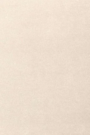 Ковровое покрытие AW Oinone 03 - (5м) в Йошкар-Оле