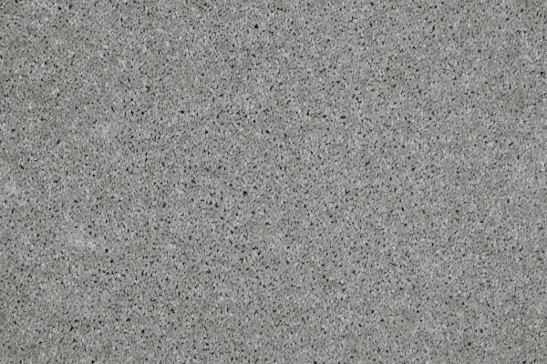 Ковровое покрытие AW Gala 90 - (4м) в Йошкар-Оле