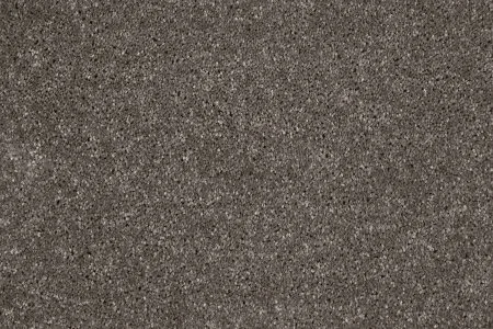 Ковровое покрытие AW Gala 49 - (5м) в Йошкар-Оле