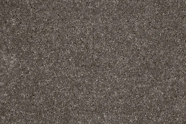 Ковровое покрытие AW Gala 49 - (4м) в Йошкар-Оле