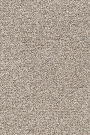 Ковровое покрытие AW Stainguard Harvest 04 - (4м) в Йошкар-Оле