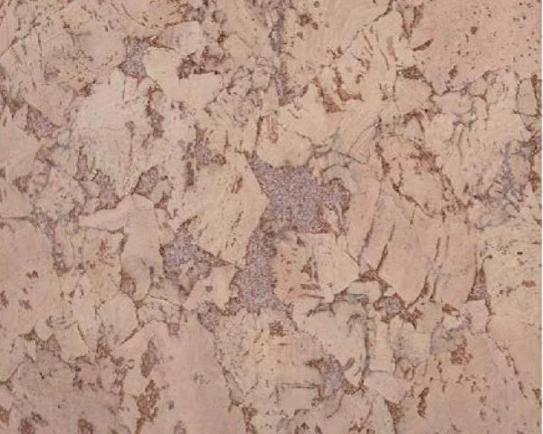 Настенное пробковое покрытие CorkArt PW 324 NK в Йошкар-Оле