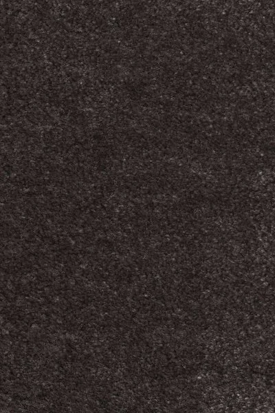 Ковровое покрытие AW Euphoria 43 - (4м) в Йошкар-Оле