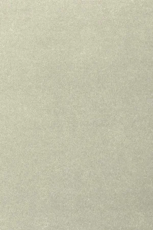 Ковровое покрытие AW Oinone 02 - (5м) в Йошкар-Оле