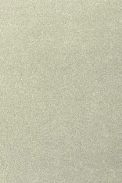 Ковровое покрытие AW Oinone 02 - (4м) в Йошкар-Оле