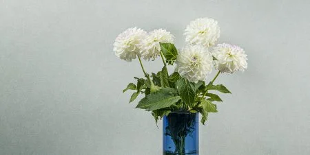 Обои Loymina Shade vol.2 SDR5, 001 в Йошкар-Оле