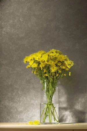 Обои Loymina Golden Library TDG 7, 008 в Йошкар-Оле