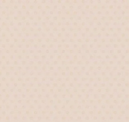 Обои Loymina Golden Library Q11, 002/1 в Йошкар-Оле