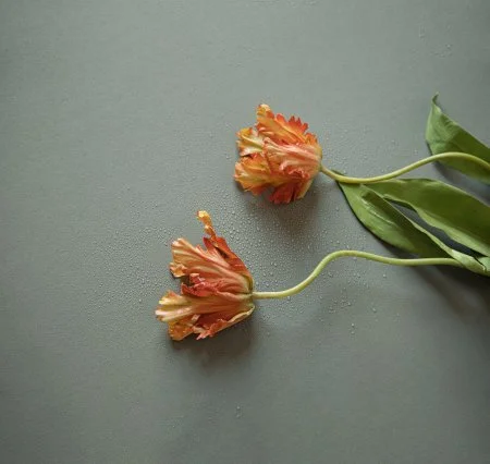 Обои Loymina Russian Classic Ru10, 006 в Йошкар-Оле