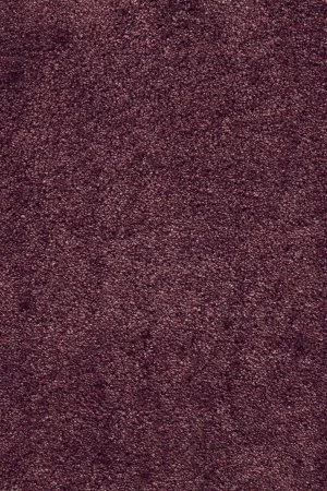 Ковровое покрытие AW Fedone 19 - (5м) в Йошкар-Оле