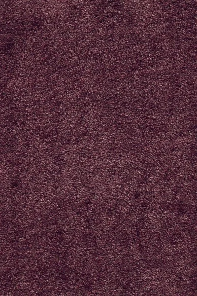 Ковровое покрытие AW Fedone 19 - (5м) в Йошкар-Оле