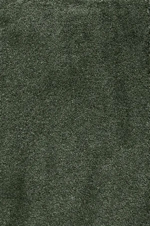 Ковровое покрытие AW Fedone 24 - (5м) в Йошкар-Оле