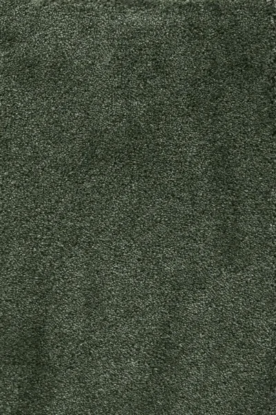 Ковровое покрытие AW Fedone 24 - (5м) в Йошкар-Оле