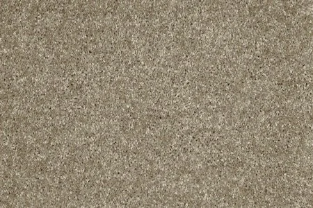 Ковровое покрытие AW Gala 33 - (5м) в Йошкар-Оле