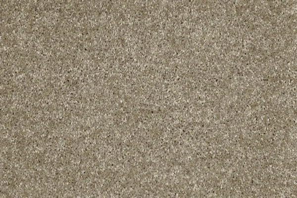 Ковровое покрытие AW Gala 33 - (4м) в Йошкар-Оле