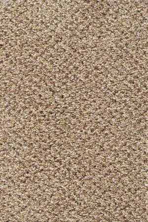 Ковровое покрытие AW Stainaway Tweed 50 - (4м) в Йошкар-Оле