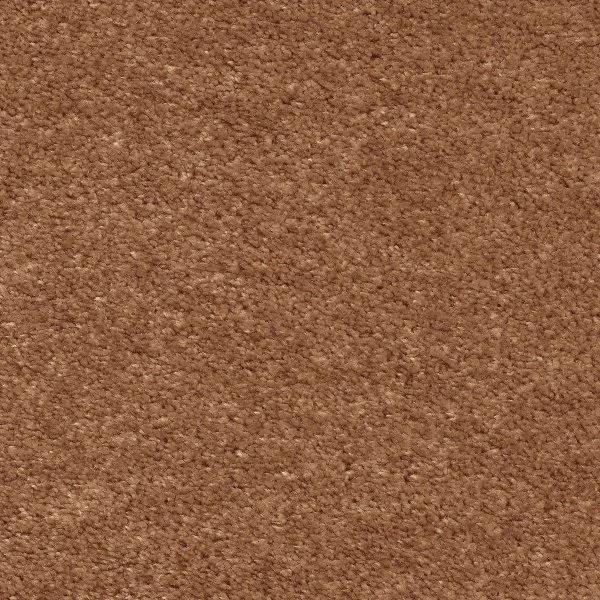 Ковровое покрытие AW Euphoria 84 - (5м) в Йошкар-Оле