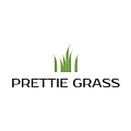 Искусственная трава Prettie Grass купить в Йошкар-Оле по выгодной цене Искусственная трава Prettie Grass в Йошкар-Оле