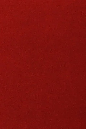 Ковровое покрытие AW Oinone 10 - (5м) в Йошкар-Оле