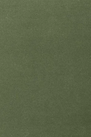 Ковровое покрытие AW Oinone 24 - (5м) в Йошкар-Оле