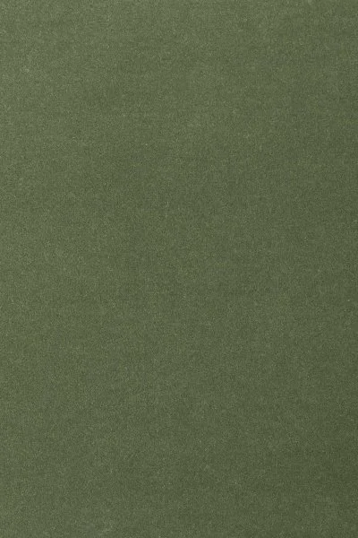 Ковровое покрытие AW Oinone 24 - (4м) в Йошкар-Оле