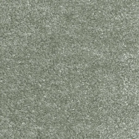 Ковровое покрытие AW Euphoria 28 - (4м) в Йошкар-Оле