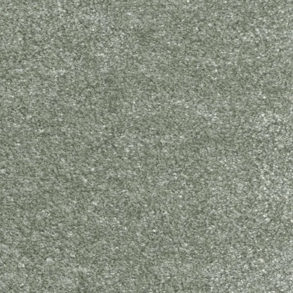 Ковровое покрытие AW Euphoria 28 - (5м) в Йошкар-Оле