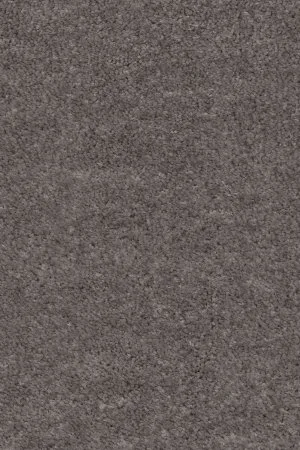 Ковровое покрытие AW Euphoria 45 - (5м) в Йошкар-Оле