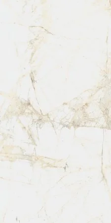 Керамогранит Coliseum Канова Уайт 60х120 (Натуральный и Реттифицированный) в Йошкар-Оле