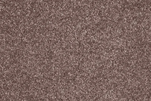 Ковровое покрытие AW Gala 60 - (5м) в Йошкар-Оле